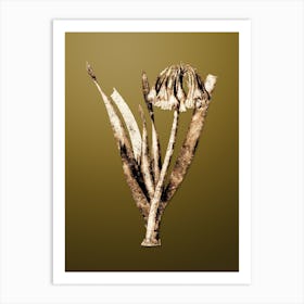 Gold Botanical Knysna Lily on Dune Yellow n.4704 Art Print