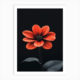 Red Flower On Black Background 4 Poster