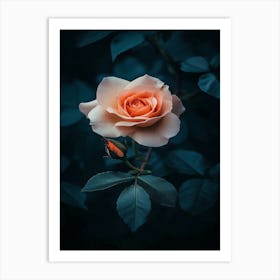 Dark Rose 10 Art Print