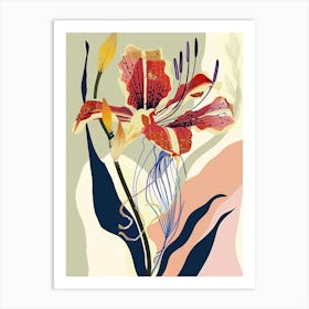 Colourful Flower Illustration Gloriosa Lily 3 Art Print