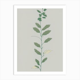 Hedge Nettle Wildflower Simplicity Art Print