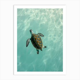 Sea Turtle Swimming 3 Art Print