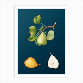 Vintage Pear Botanical Art on Teal Blue n.0426 Art Print