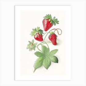 Alpine Strawberries, Plant, Quentin Blake Illustration Art Print