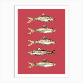 Sardines Fish Kitchen Illustration Watercolour Poster