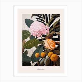 Flower Illustration Bergamot 3 Poster Art Print