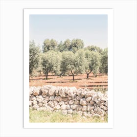 Puglia, Italy I Fields of olive trees in the italian countryside boho nature in the Mediterranean with a retro vintage photography green pastel summer aesthetic taken with an analog film camera like in Tuscany Art Print