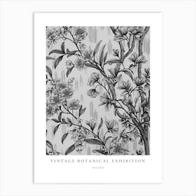 Wisteria 2 B&W Vintage Botanical Poster Art Print