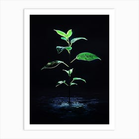 Tree Growing On A Black Background 1 Art Print