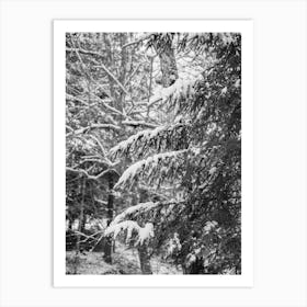 Upstate New York Snow X on Film Art Print