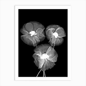 Black And White Delicate Flowers Art Print