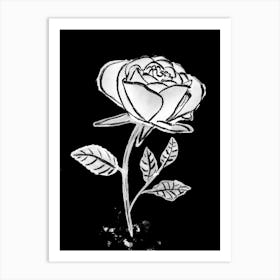 White Rose line drawing on black background 2 Art Print