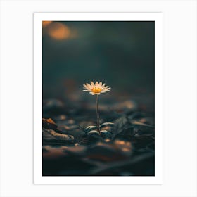 Daisy 28 Art Print