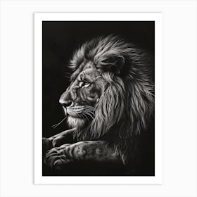 Barbary Lion Charcoal Drawing Symbolic Imagery 1 Art Print