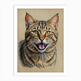 Portrait Of A Tabby Cat Art Print