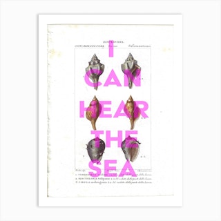 I Can Hear The Sea Vintage Sea Shell Art Print