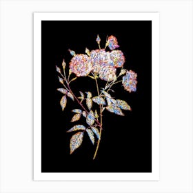 Stained Glass Ternaux Rose Bloom Mosaic Botanical Illustration on Black n.0290 Art Print