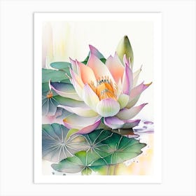 Amur Lotus Watercolour 1 Art Print