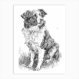 Australian Shepherd Dog Line Sketch 1 Art Print