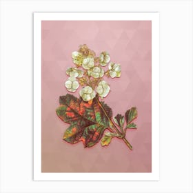 Vintage Oakleaf Hydrangea Botanical Art on Crystal Rose Art Print