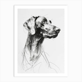 Weimaraner Dog Charcoal Line 3 Art Print