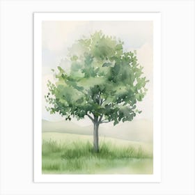 Boxwood Tree Atmospheric Watercolour Painting 3 Art Print