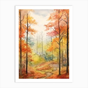 Autumn Forest Landscape The Shawnee National Forest 2 Art Print