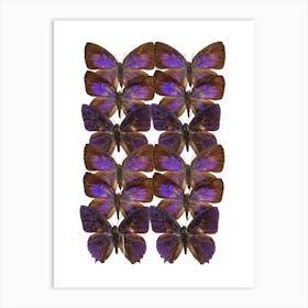 Two Rows Purple Butterflies Art Print