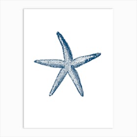 Starfish 14 Art Print