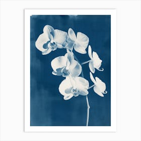 Orchid II Art Print