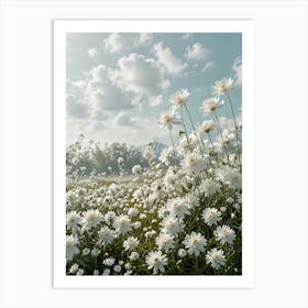 White Daisies Art Print