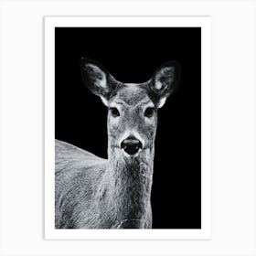 Deer Portrait Art Print