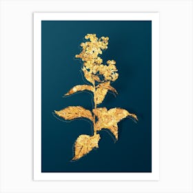 Vintage White Gillyflower Bloom Botanical in Gold on Teal Blue Art Print