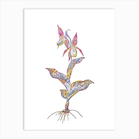 Stained Glass Lady's Slipper Orchid Mosaic Botanical Illustration on White Art Print