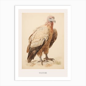 Vintage Bird Drawing Vulture 3 Poster Art Print