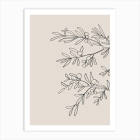 Mid Summer Olive Branch 02 Art Print