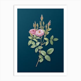 Vintage Mossy Pompon Rose Botanical Art on Teal Blue n.0966 Art Print