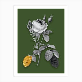Vintage Double Moss Rose Black and White Gold Leaf Floral Art on Olive Green n.0273 Art Print