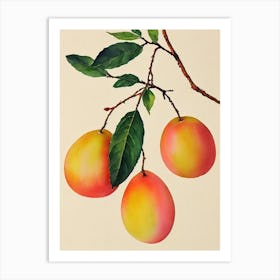 Nectarine 2 Watercolour Fruit Painting Fruit Art Print