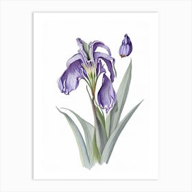 Iris Floral Quentin Blake Inspired Illustration 1 Flower Art Print