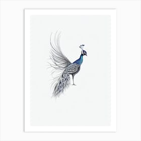 Peacock B&W Pencil Drawing 2 Bird Art Print