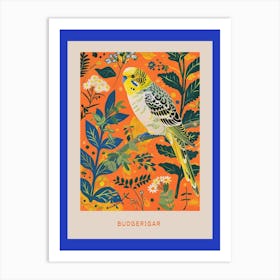 Spring Birds Poster Budgerigar 1 Art Print