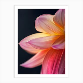 Orange Flower 10 Art Print