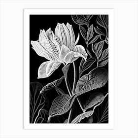 Bloodroot Leaf Linocut 1 Art Print