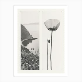 Poppy Flower Photo Collage 4 Art Print