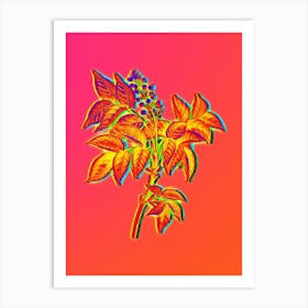 Neon European Bladdernut Botanical in Hot Pink and Electric Blue n.0164 Art Print