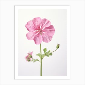 Pressed Wildflower Botanical Art Wild Geranium 2 Art Print