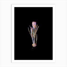 Stained Glass Spring Crocus Mosaic Botanical Illustration on Black Art Print