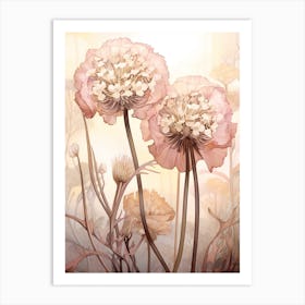 Floral Illustration Queen Annes Lace 1 Art Print