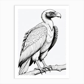 Vulture Coloring Page Bird Wildlife Animal Drawing Art Print